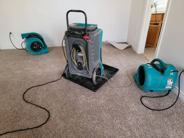 Best Professional water damage repair  in Seward, AK