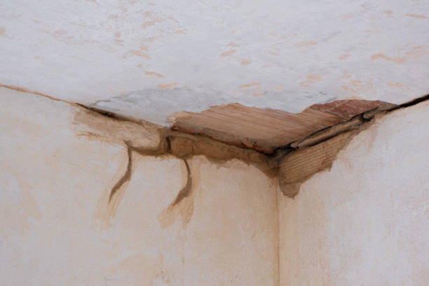 Best Flood damage cleanup  in Seward, AK