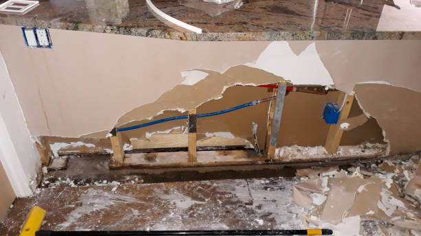 Best Basement water damage restoration  in Seward, AK