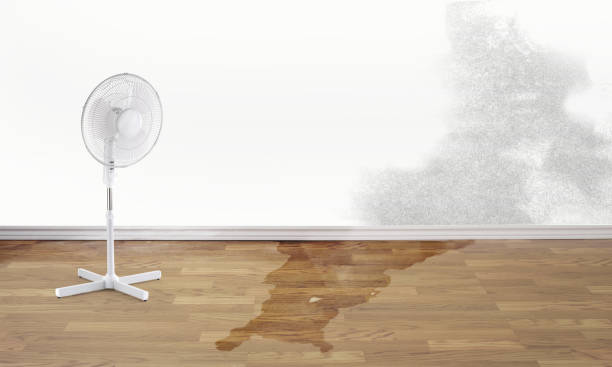Best Water damage restoration insurance claims  in Seward, AK