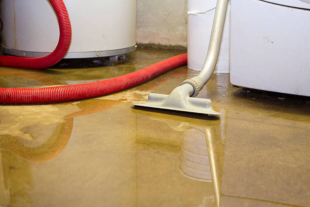 Best Water damage restoration specialists  in Seward, AK