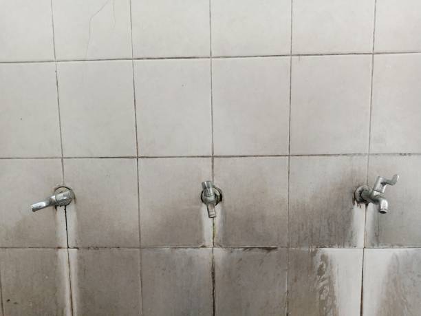 Best Water damage contractors near me  in Seward, AK