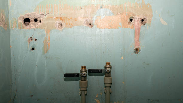 Seward, AK Water damage restoration Company