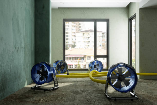 Best Residential water damage restoration  in Seward, AK